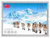 60th Anniversary of the Success of Reaching the Summit of Mount Qomolangma by the Chinese Mountaineering Team Commemorative Stamp