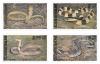 Snake Postage Stamps - Venomous Snakes found in Thailand