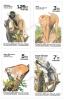 Wild Animal Postage Stamps (4th Series) - Gibbon, Macaque, Slow Loris, and Monkey