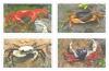 Thai Crab Postage Stamps (2nd Series)