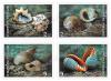 Thailand - Singapore Joint Issue Postage Stamps - Sea Shells