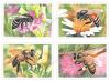 Bee Postage Stamps