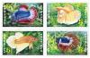 National Aquatic Animal Postage Stamps - Betta Splendens