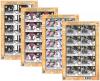Centenary Celebration of Her Royal Highness Princess Galyani Vadhana Commemorative Stamps (2nd Series) Full Sheet Set