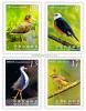 Birds of Taiwan Postage Stamps (IV)