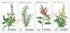 Herb Plants Postage Stamps