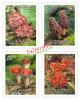 Wild Mushrooms of Taiwan Postage Stamps (III)